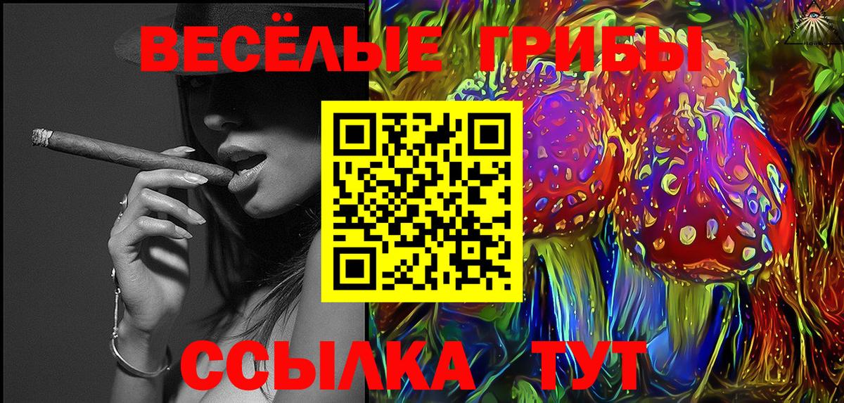 Псилоцибиновые грибы Psilocybe  Вход с VPN  Моздок 